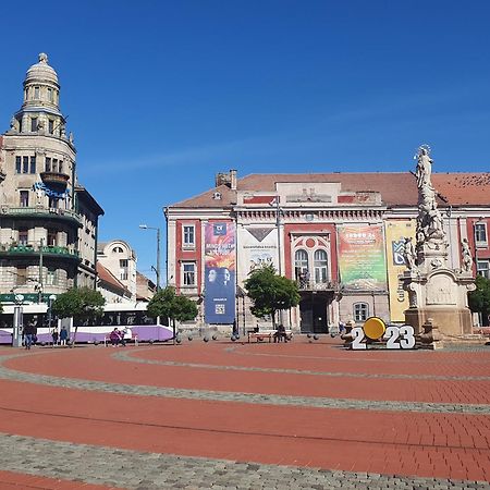 Travel And Music Apartment Timisoara Luaran gambar